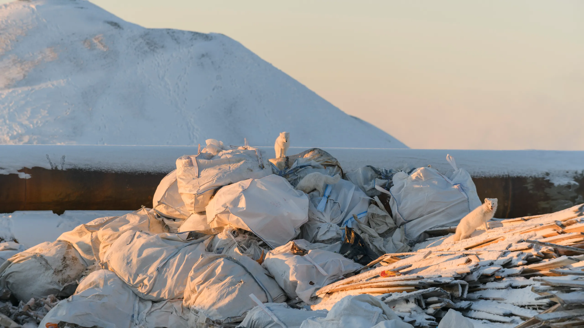 Arctic’s Plastic Crisis
