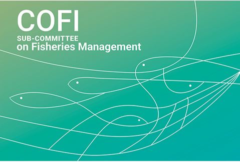 COFI SUB-COMMITTEE ON FISHERIES MANAGEMENT