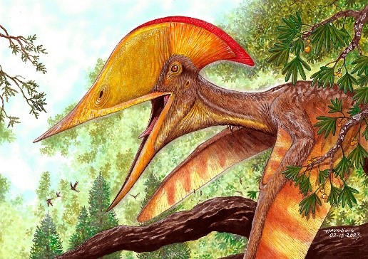 Chaoyangopterid pterosaur 