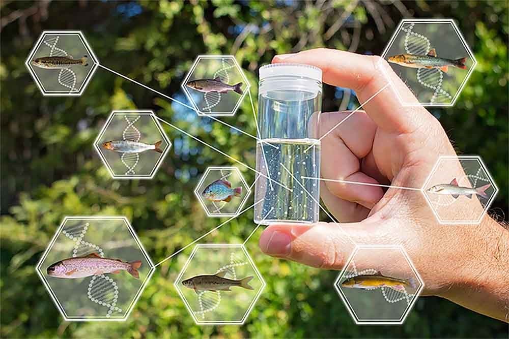 ENVIRONMENTAL DNA