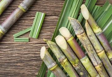 Fair and Remunerative Price (FRP) of sugarcane