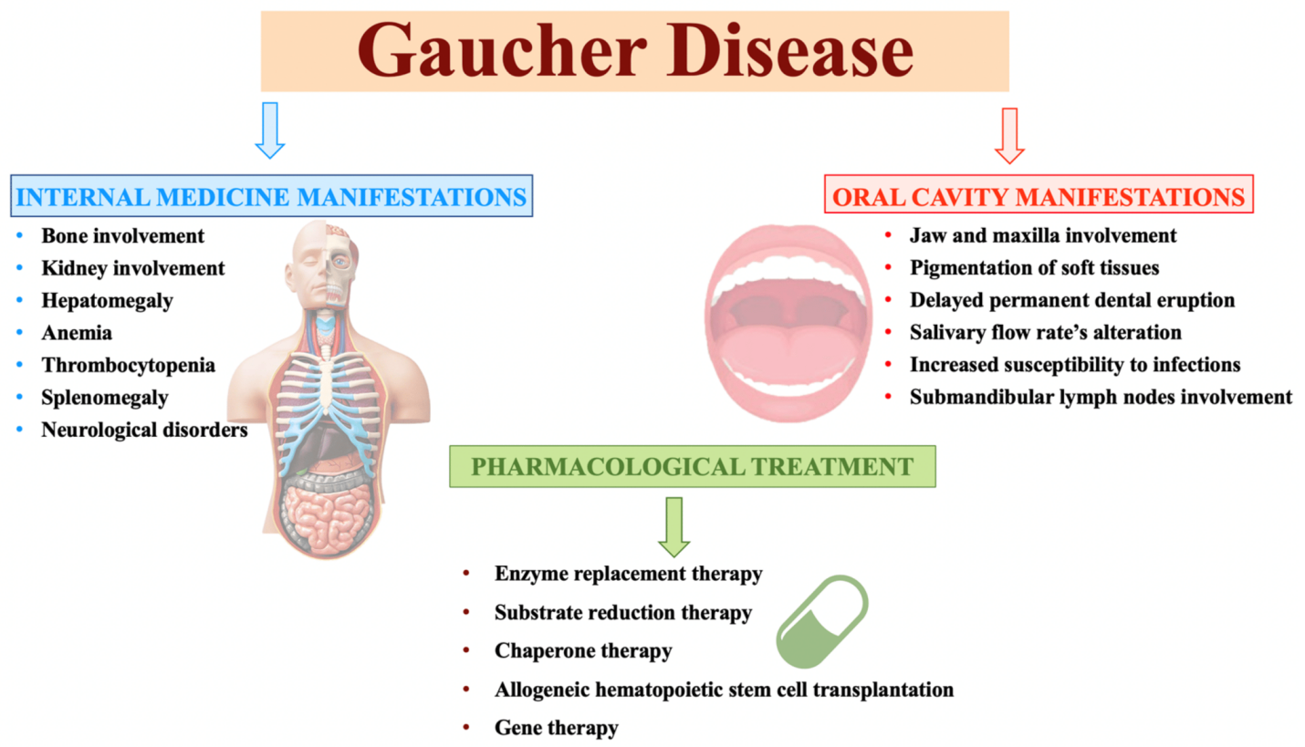 GAUCHER DISEASE