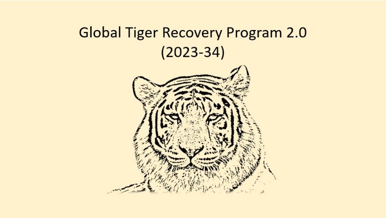 Global Tiger Recovery Program