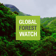 Global forest watch