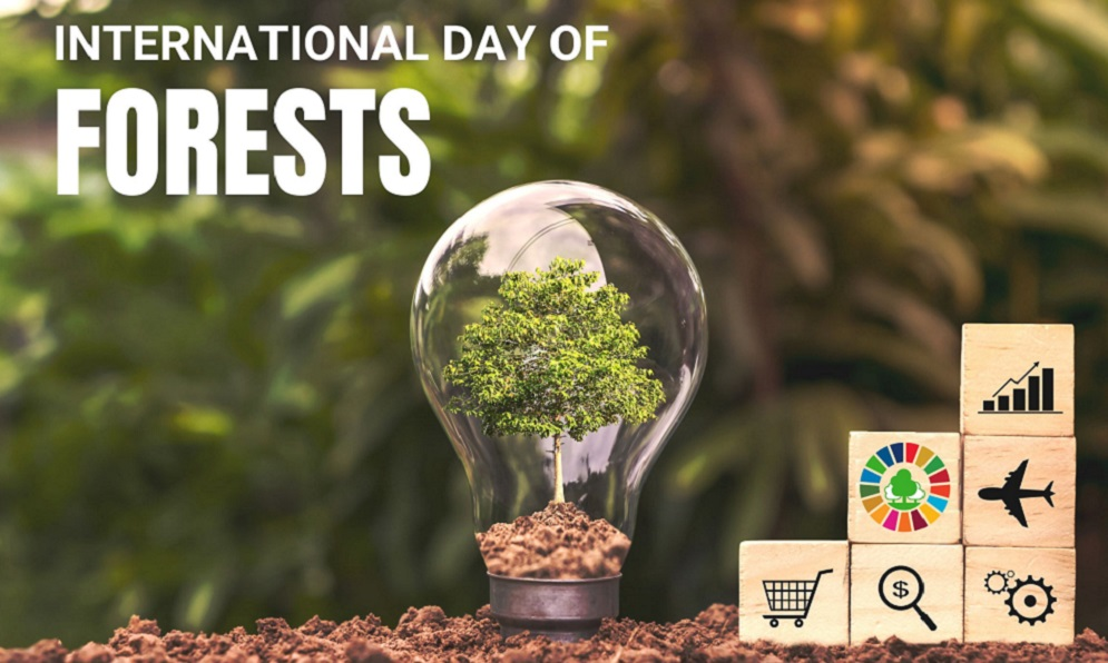 INTERNATIONAL DAY OF FORESTS