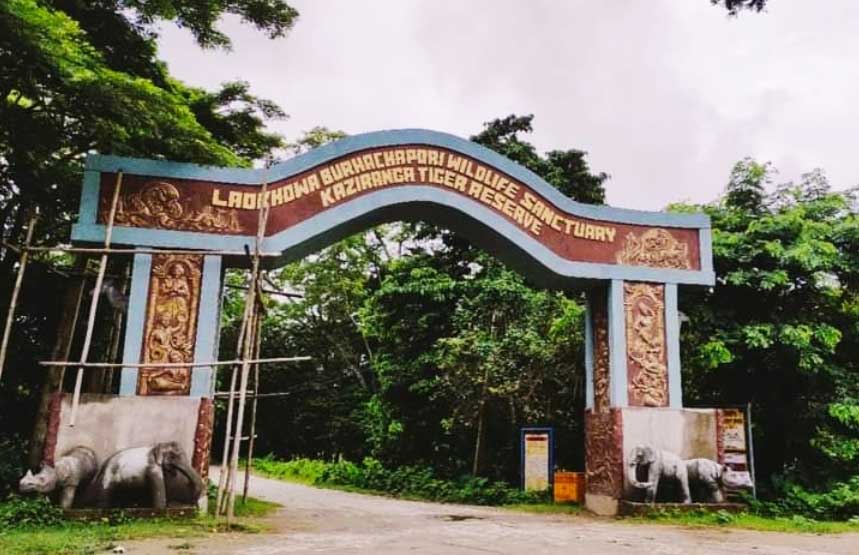 Laokhowa and Burhachapori Wildlife Sanctuaries