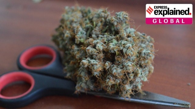 MARIJUANA RECLASSIFICATION