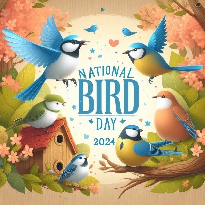 NATIONAL BIRD DAY
