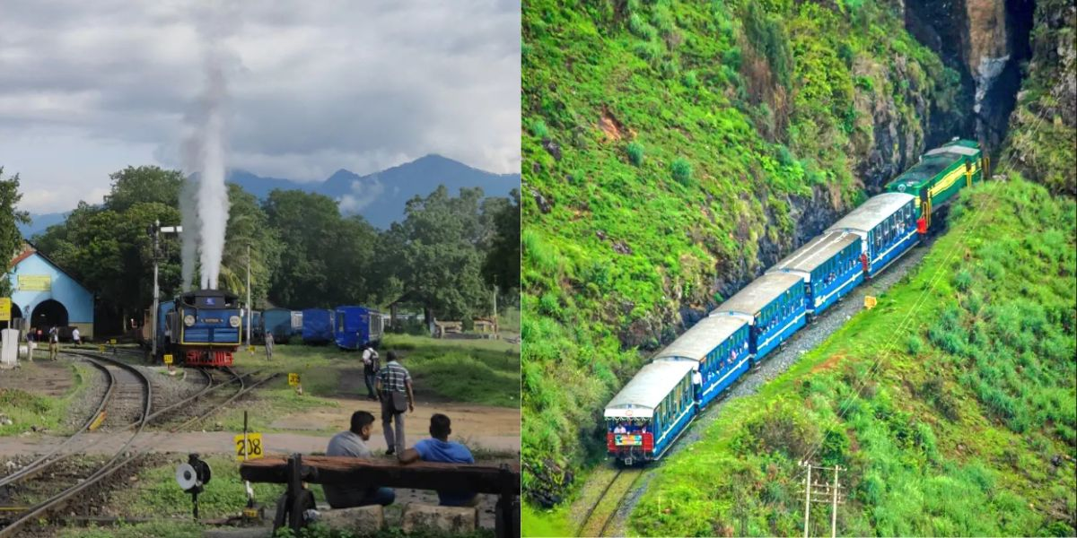 NILGIRI FORESTS