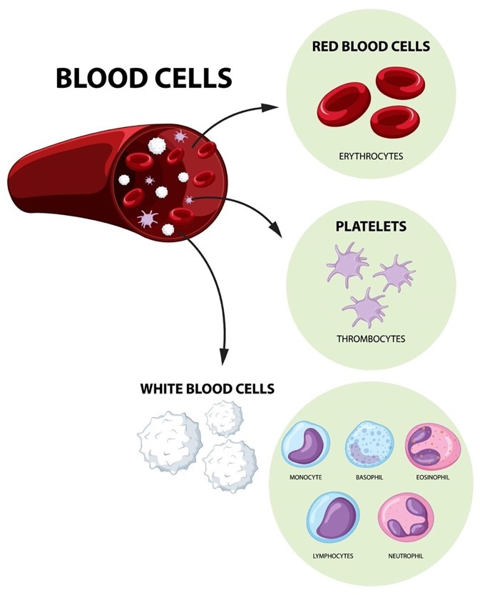 PLATELETS