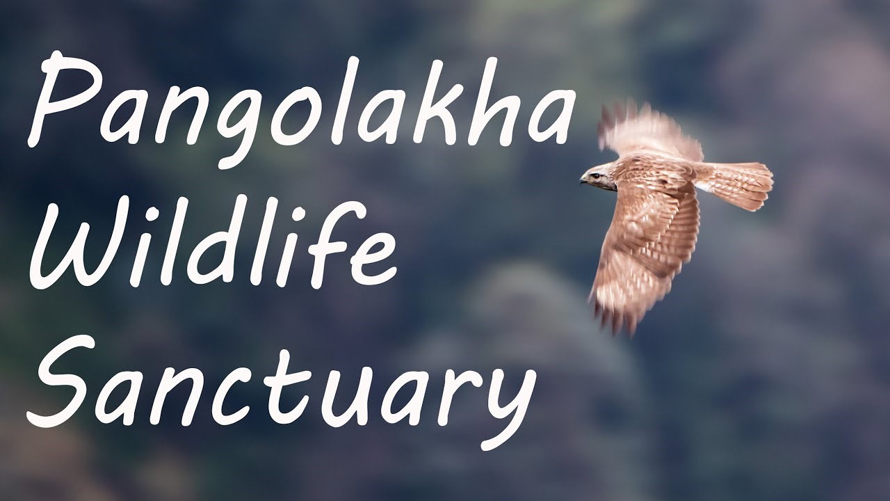 Pangalokha Wildlife Sanctuary