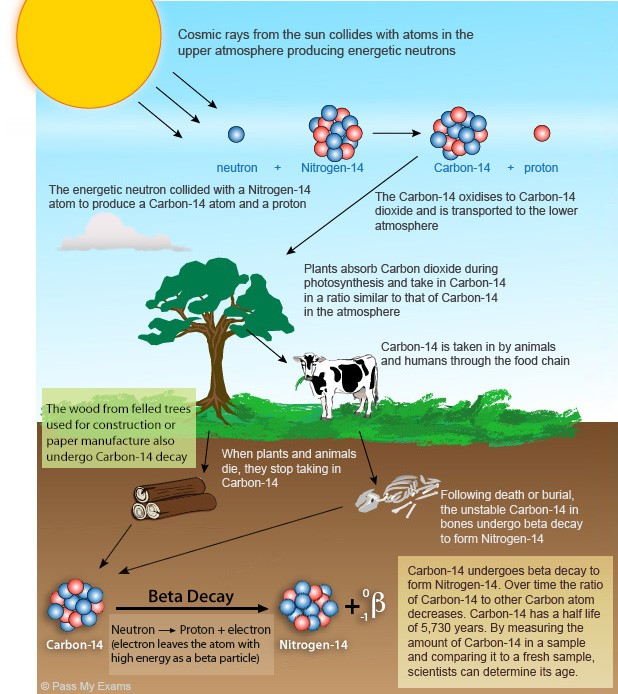 RADIOCARBON DATING