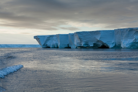 ROSE ICE SHELF