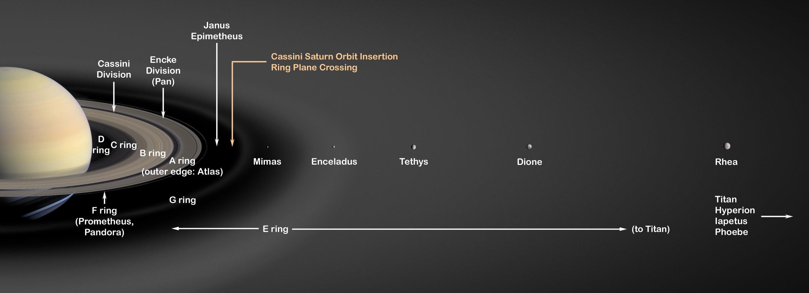 ISC Saturn Series Rigging Rings The Arborist Store | The Arborist Store