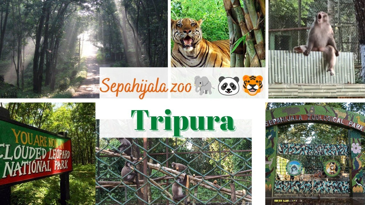 SEPAHIJALA WILDLIFE SANCTUARY