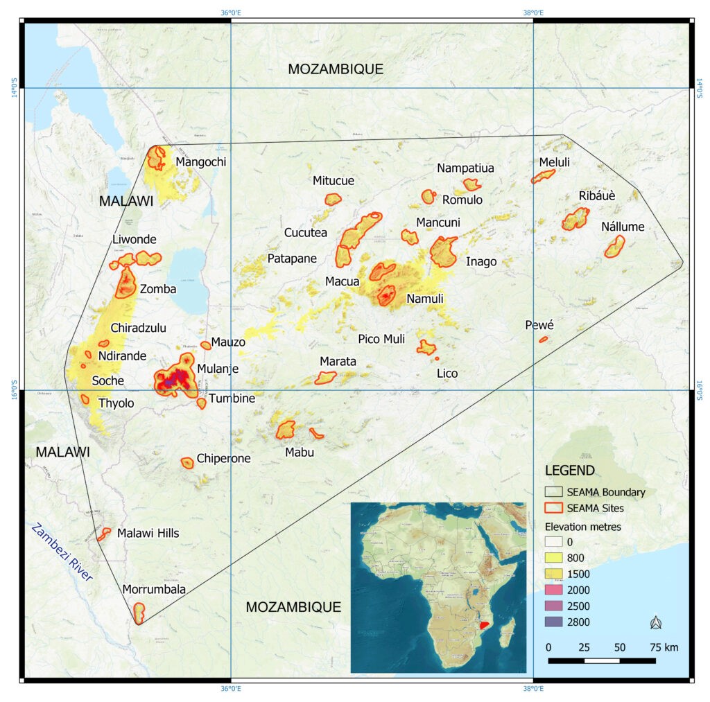 SOUTH EAST AFRICA MONTANE ARCHIPELAGO