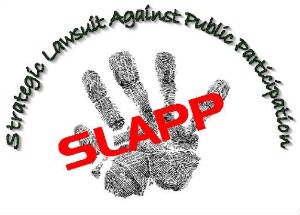 STRATEGIC LITIGATION AGAINST PUBLIC PARTICIPATION (SLAPP) SUITS