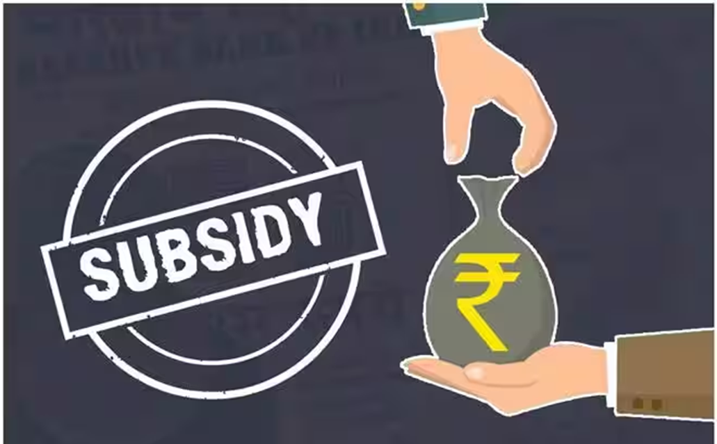 SUBSIDIES IN INDIA