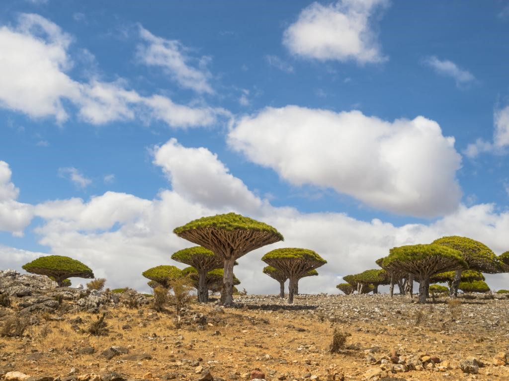 Socotra Archipelago