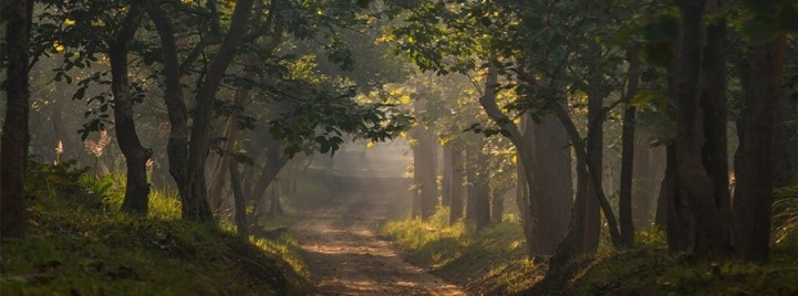 Sohagi Barwa Wildlife Sanctuary