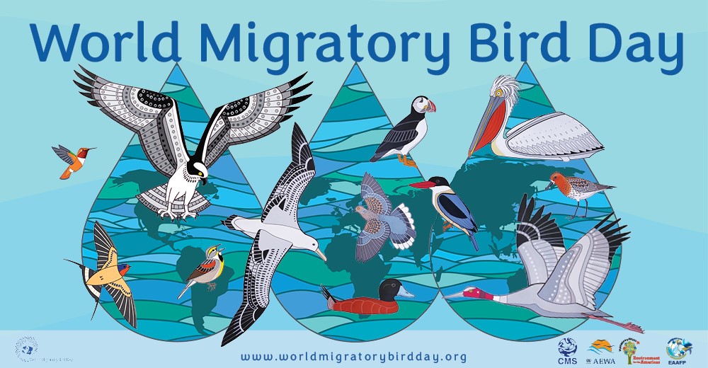 WORLD MIGRATORY BIRD DAY