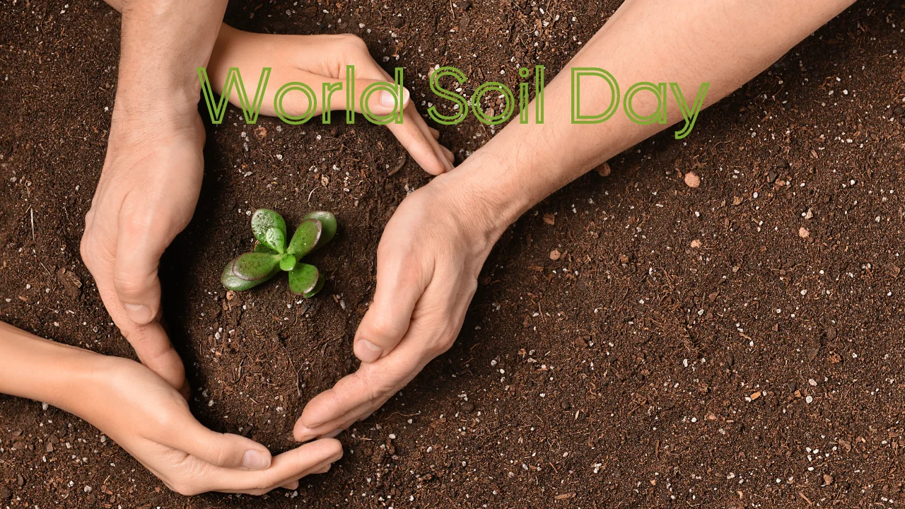 WORLD SOIL DAY