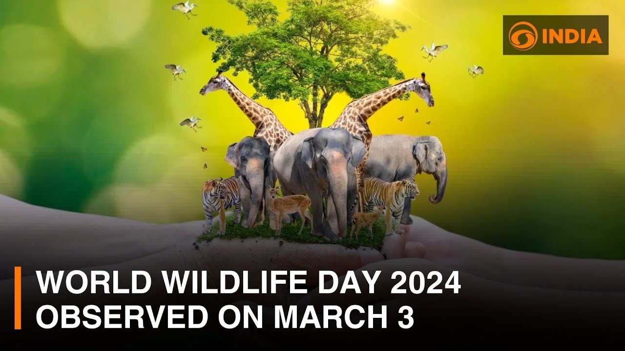 WORLD WILDLIFE DAY