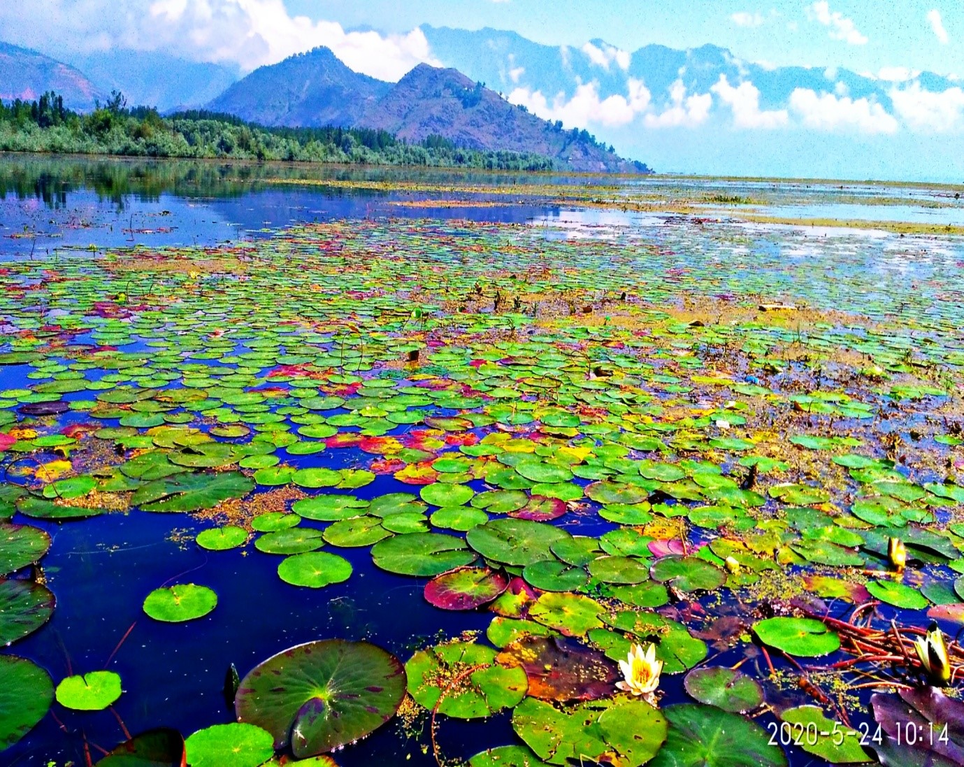 WULAR LAKE