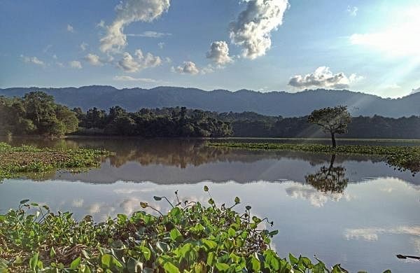 Wetland City Accreditation