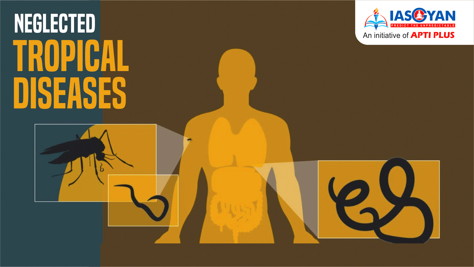 NEGLECTED TROPICAL DISEASES