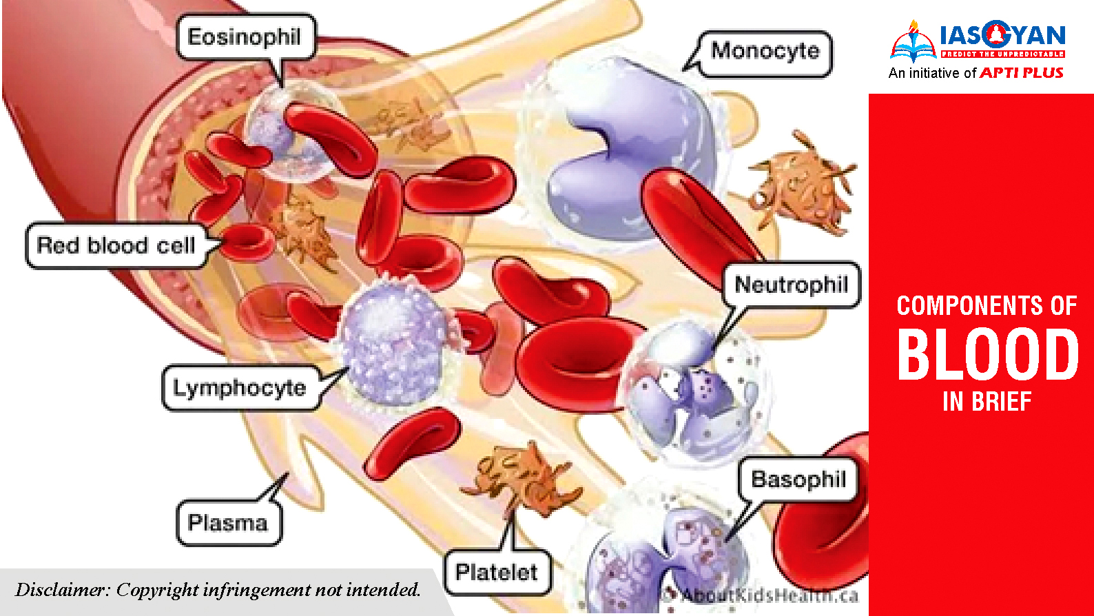COMPONENTS OF BLOOD IN BRIEF