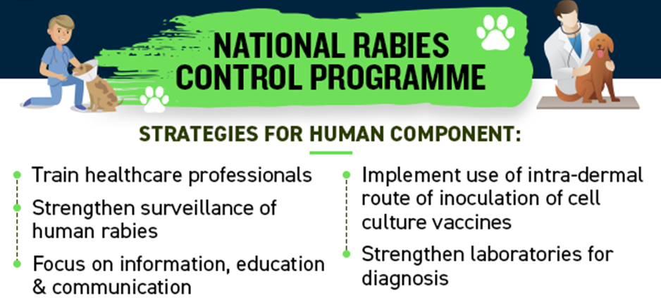 Government of India launched National Rabies Control Program (NRCP) for prevention and control of Rabies_50.1
