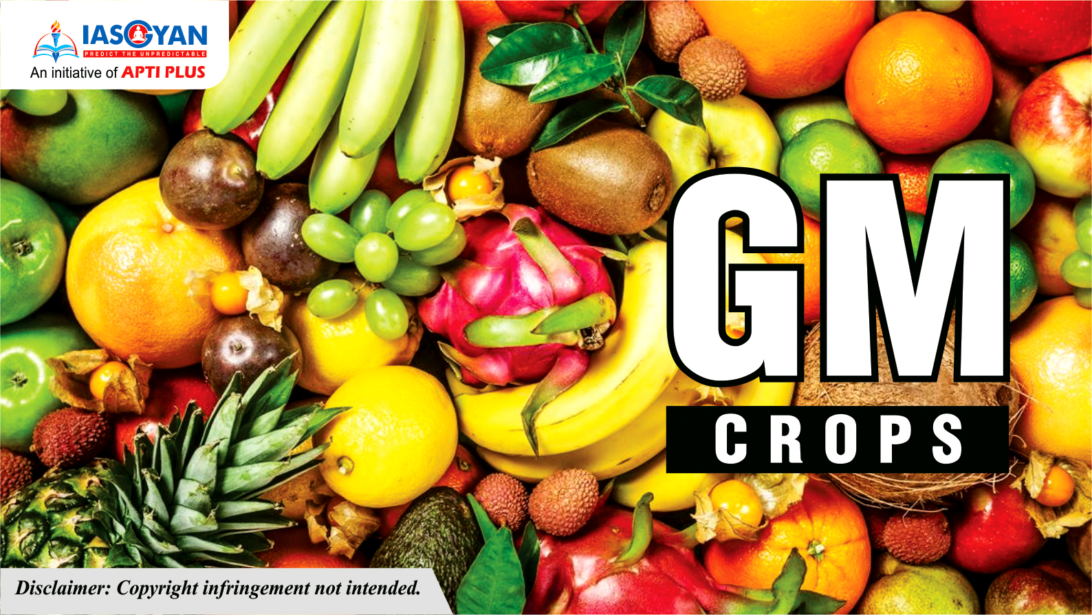 GM CROPS