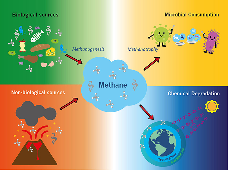 Methane emissions