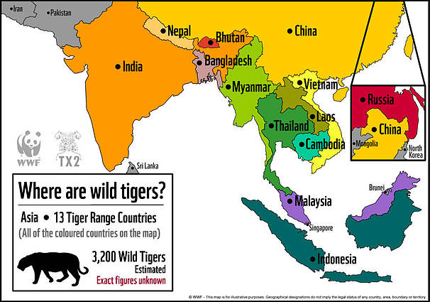 Tigers still roam wild in these 13 tiger-range countries