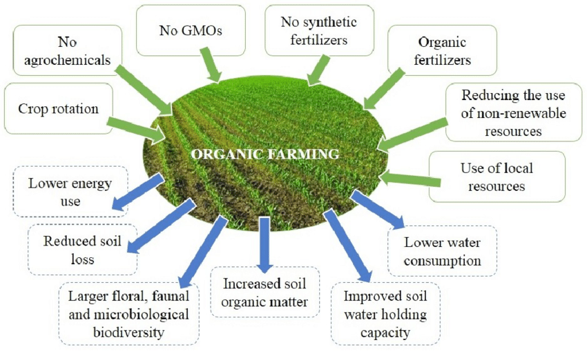 organic farming essay upsc