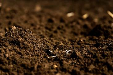 World Soil Day and Land Degradation