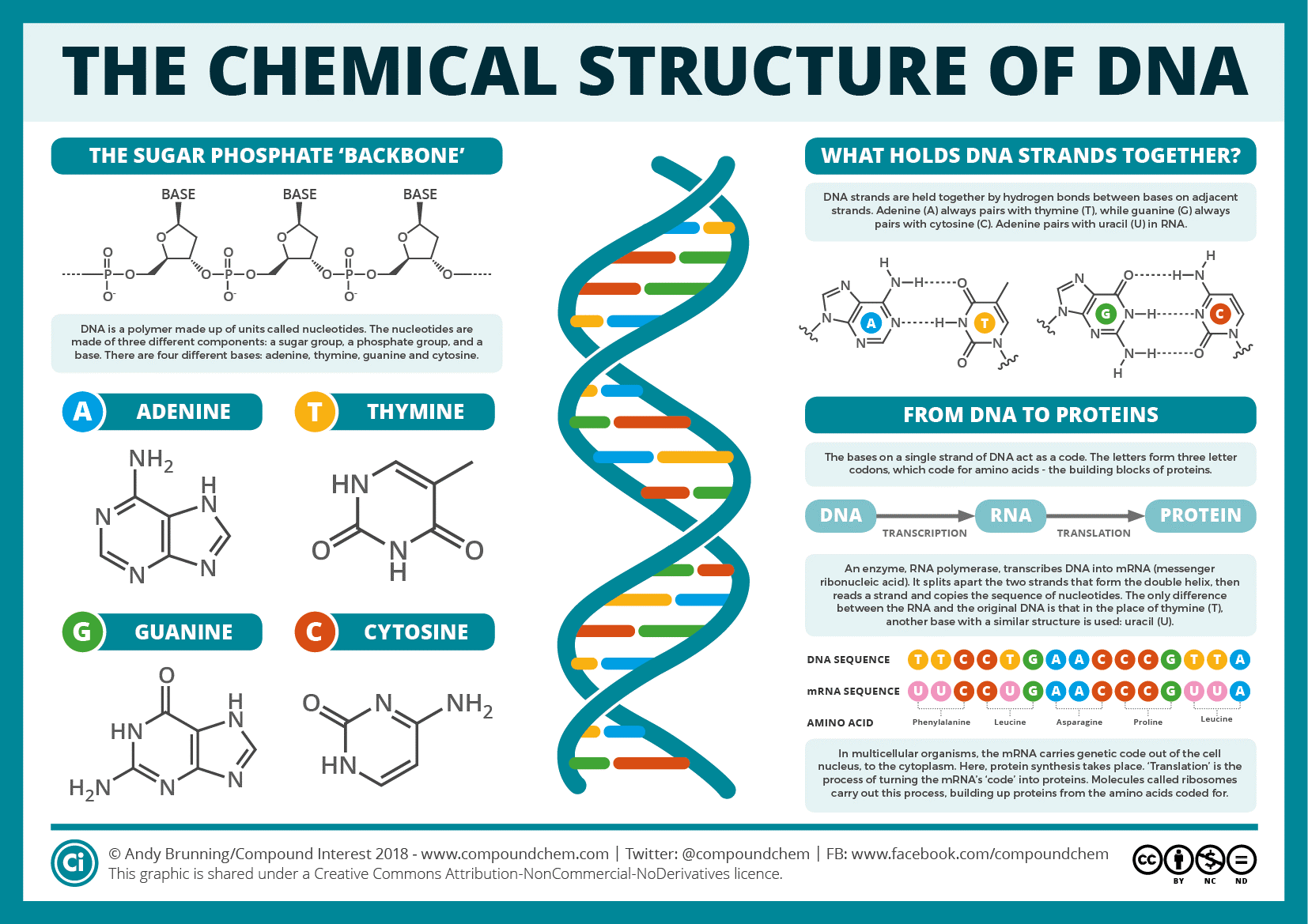 EndtoEnd Genome Sequencing