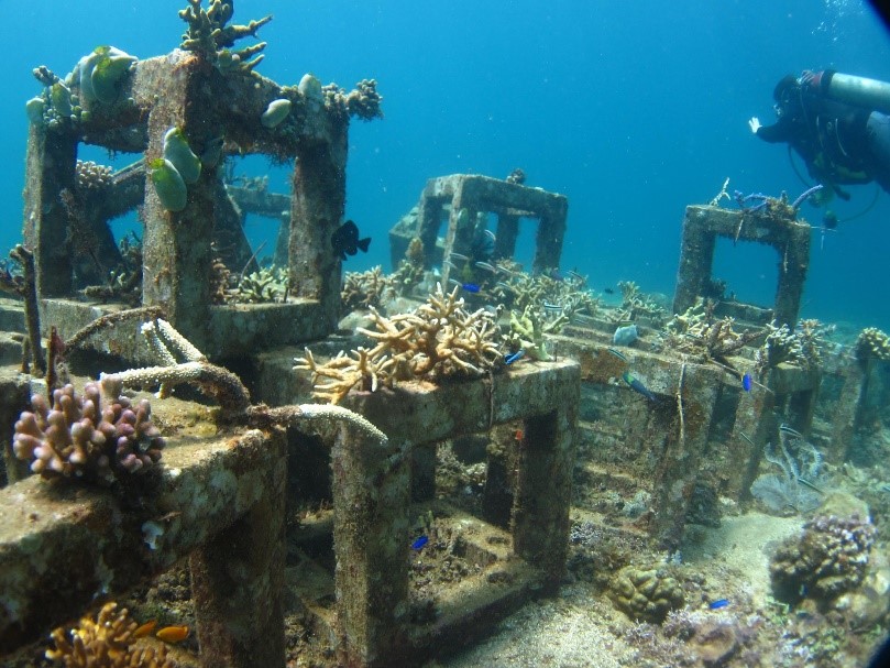 ARTIFICIAL REEF