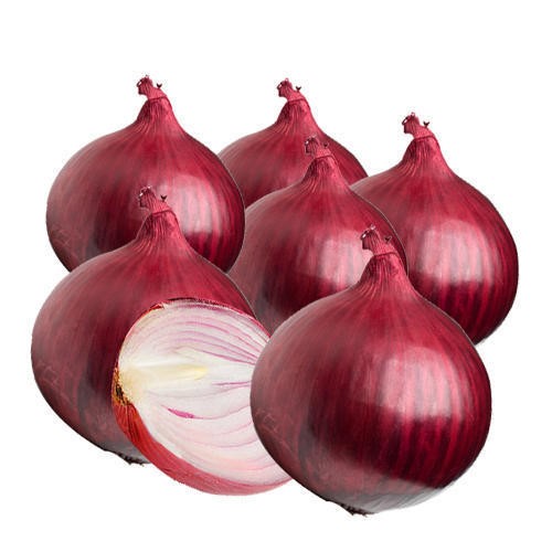 Extending Onion Shelf Life Benefits of Irradiation UPSC