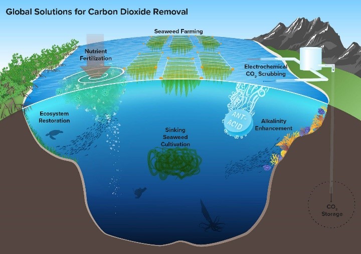 Carbon Dioxide Removal