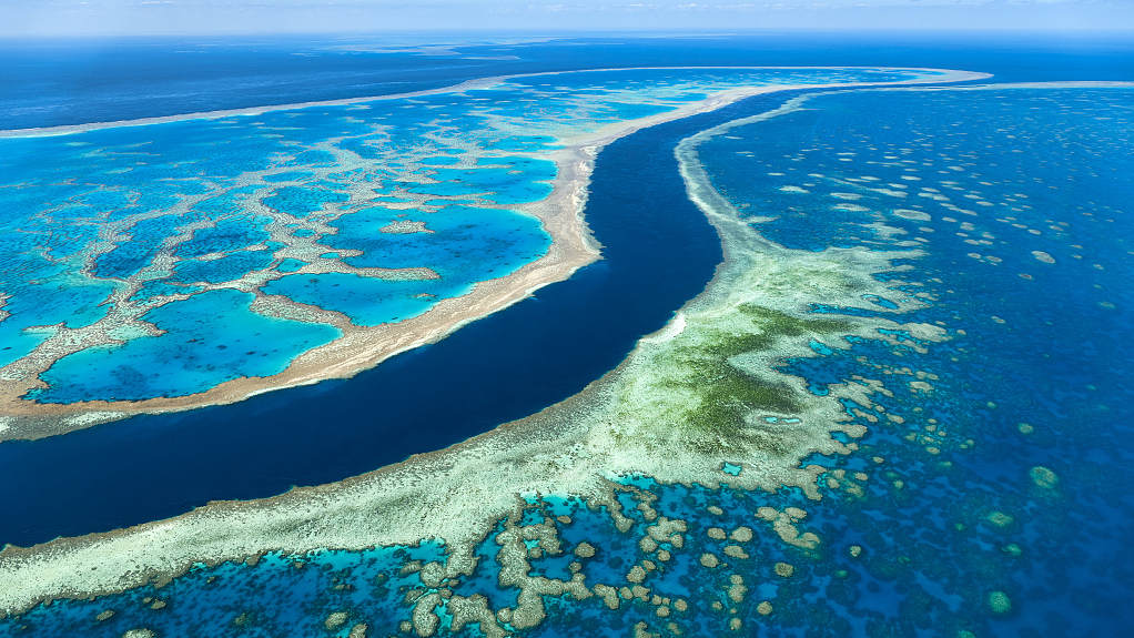 Coral bleaching | Great Barrier Reef | UPSC CA