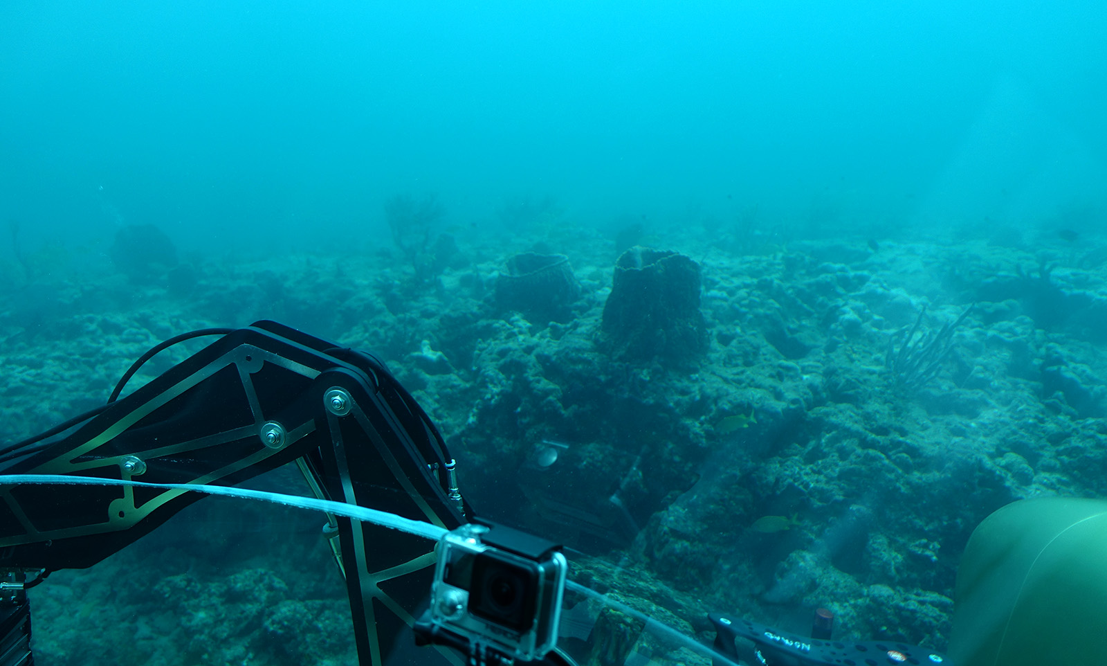 DEEP SEA MINING
