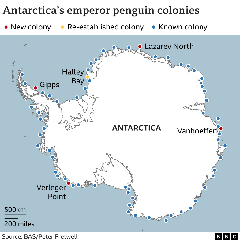 Emperor Penguin: Habitat and Conservation - UPSC