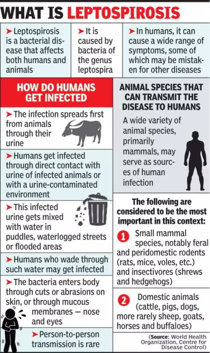 Odisha facing two disease outbreaks Scrub Typhus and Leptospirosis UPSC