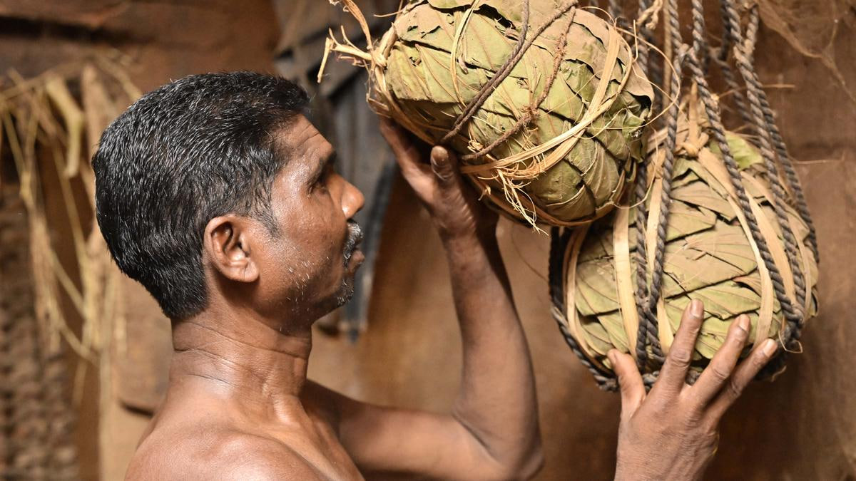 Muria tribe preserves seeds using ecofriendly deda. UPSC