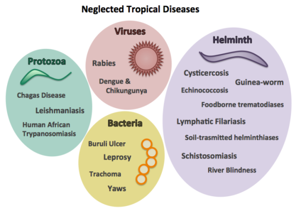 WHO adds noma to neglected tropical diseases UPSC
