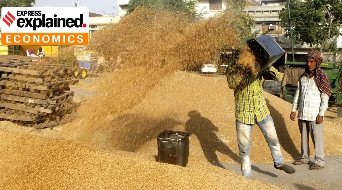 Paradox of bumper crops and high cereal prices UPSC