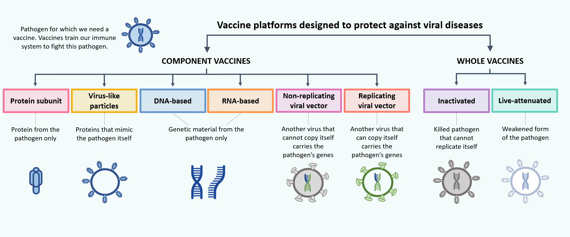 Types of occurred. Types of vaccines. types of covid - 19. types of vaccination. vaccine covid-19.