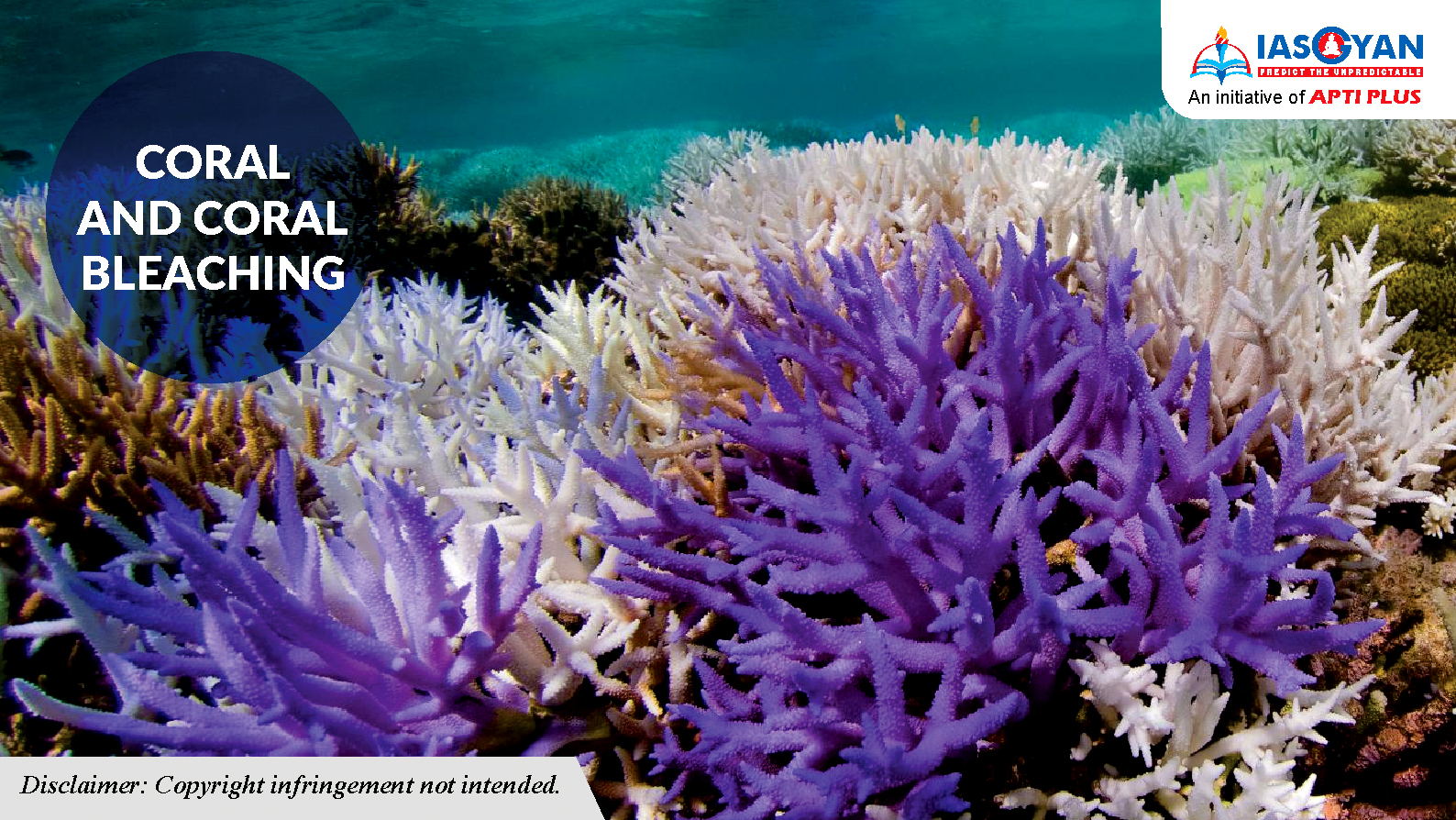 CORAL AND CORAL BLEACHING UPSC